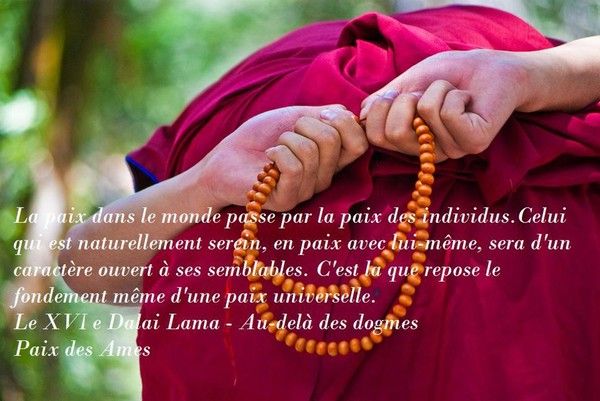 La Page de la Sagesse : Citation du Dalaï Lama sur la paix