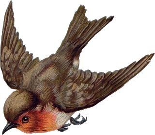 TUBES VICTORIENS DIVERS 