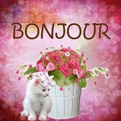 get bonjour for mac