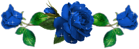 BARRE DE SEPARATION . SUITE