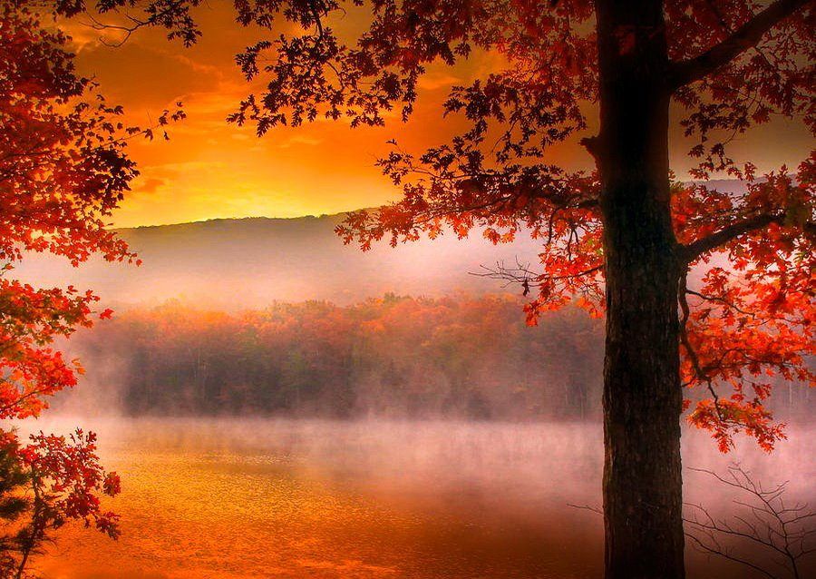 Automne main image 1