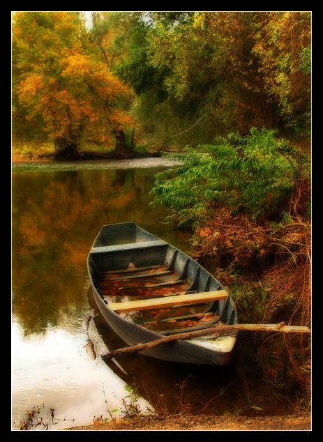 le grand meaulnes rencontre yvonne